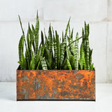 Custom | Loft Planter | Corten