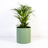 Custom | Loft Planter Round