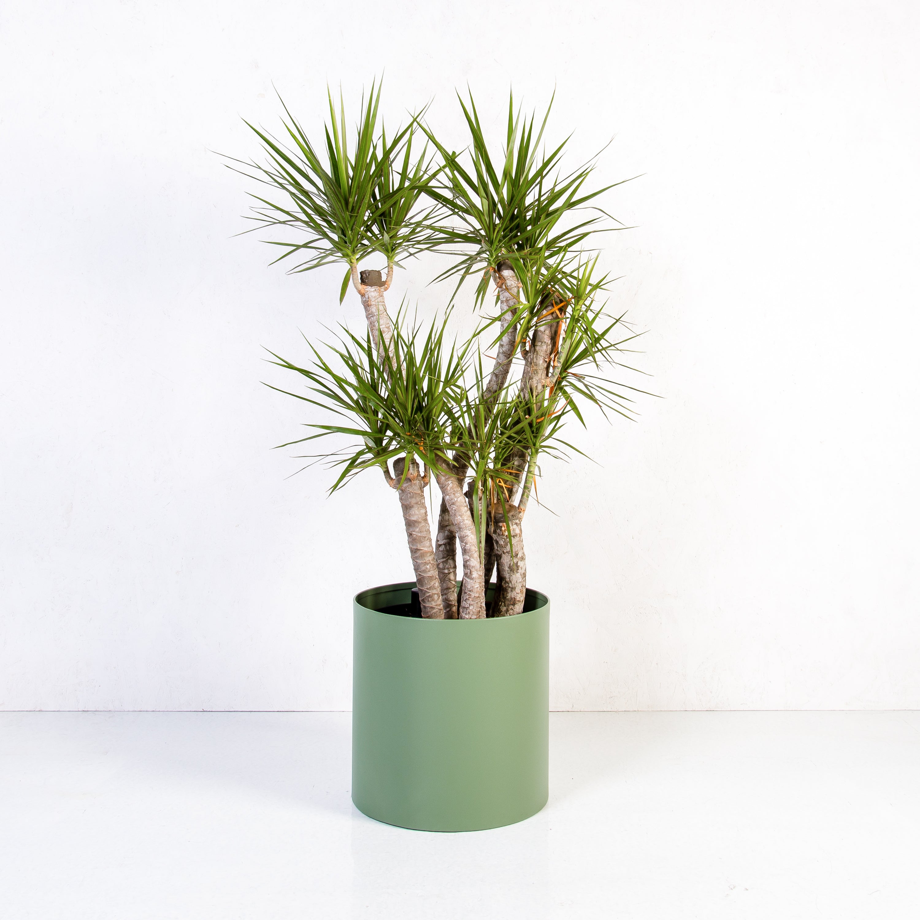 Custom | Loft Planter Round