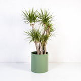 Custom | Loft Planter Round