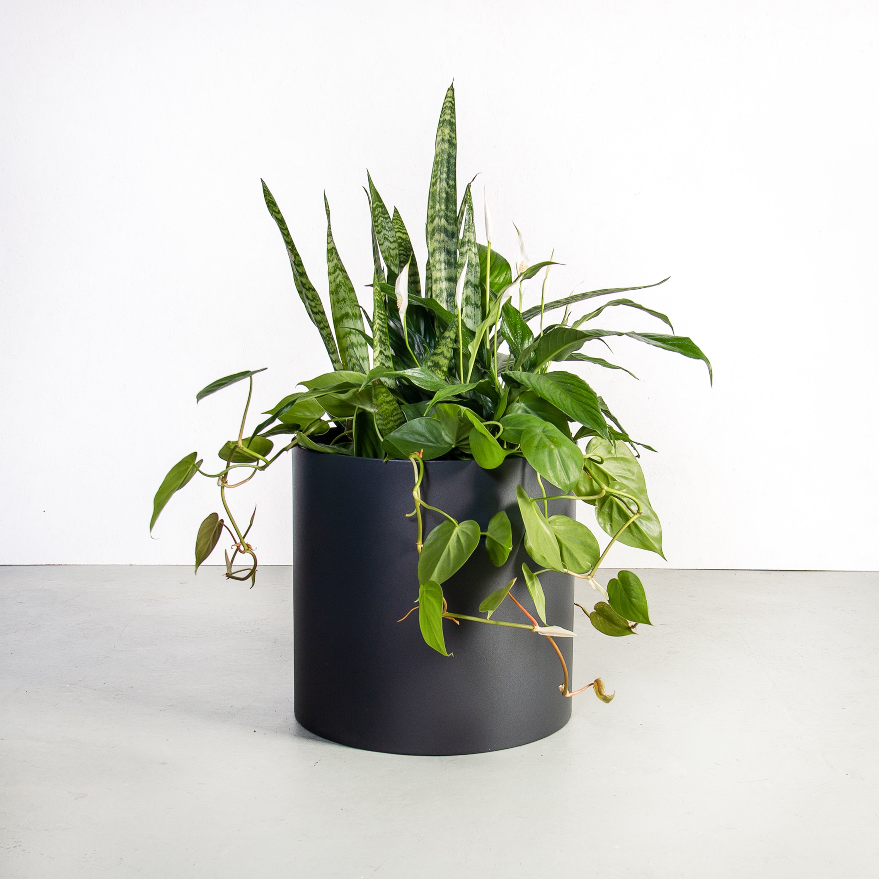 Custom | Loft Planter Round