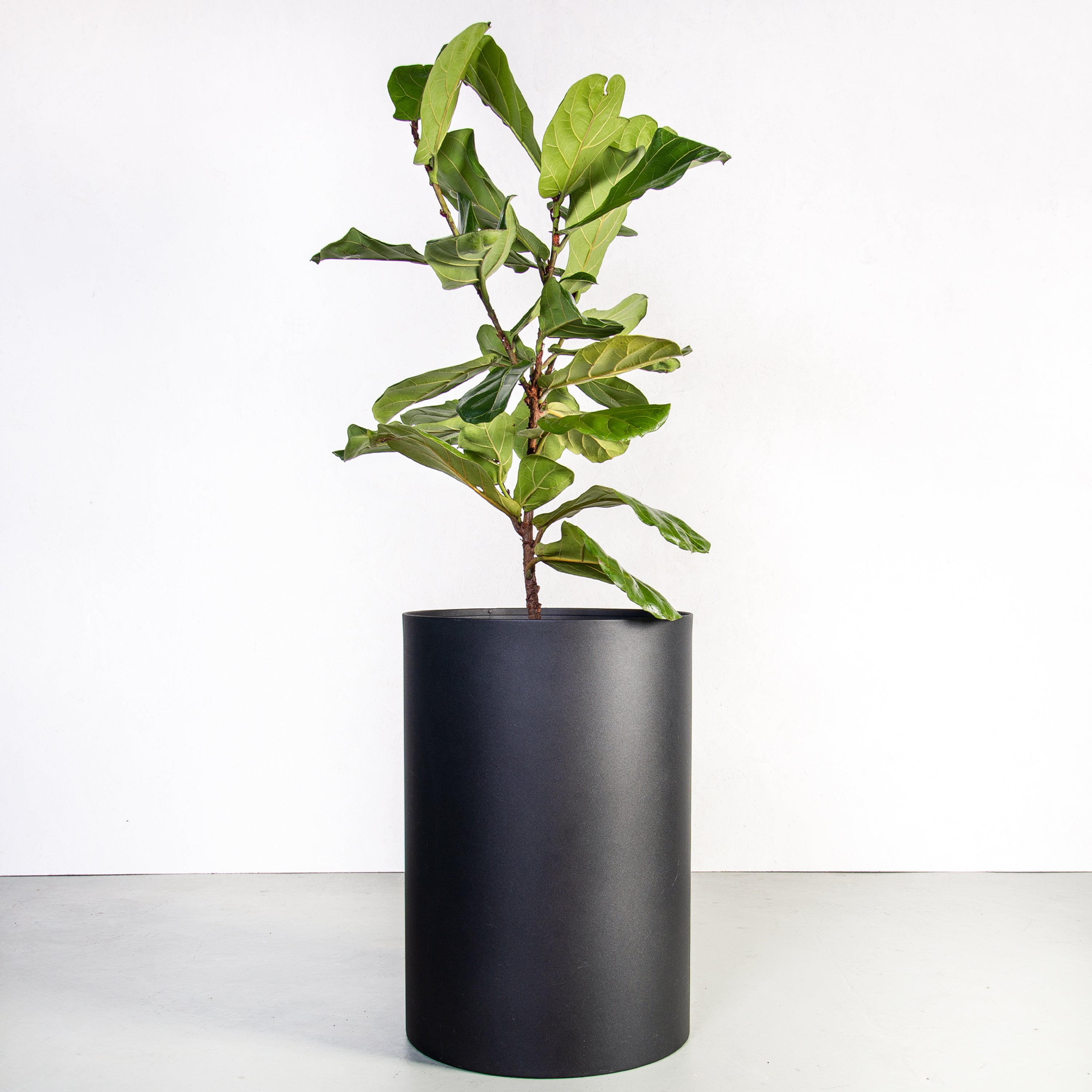 Custom | Loft Planter Round