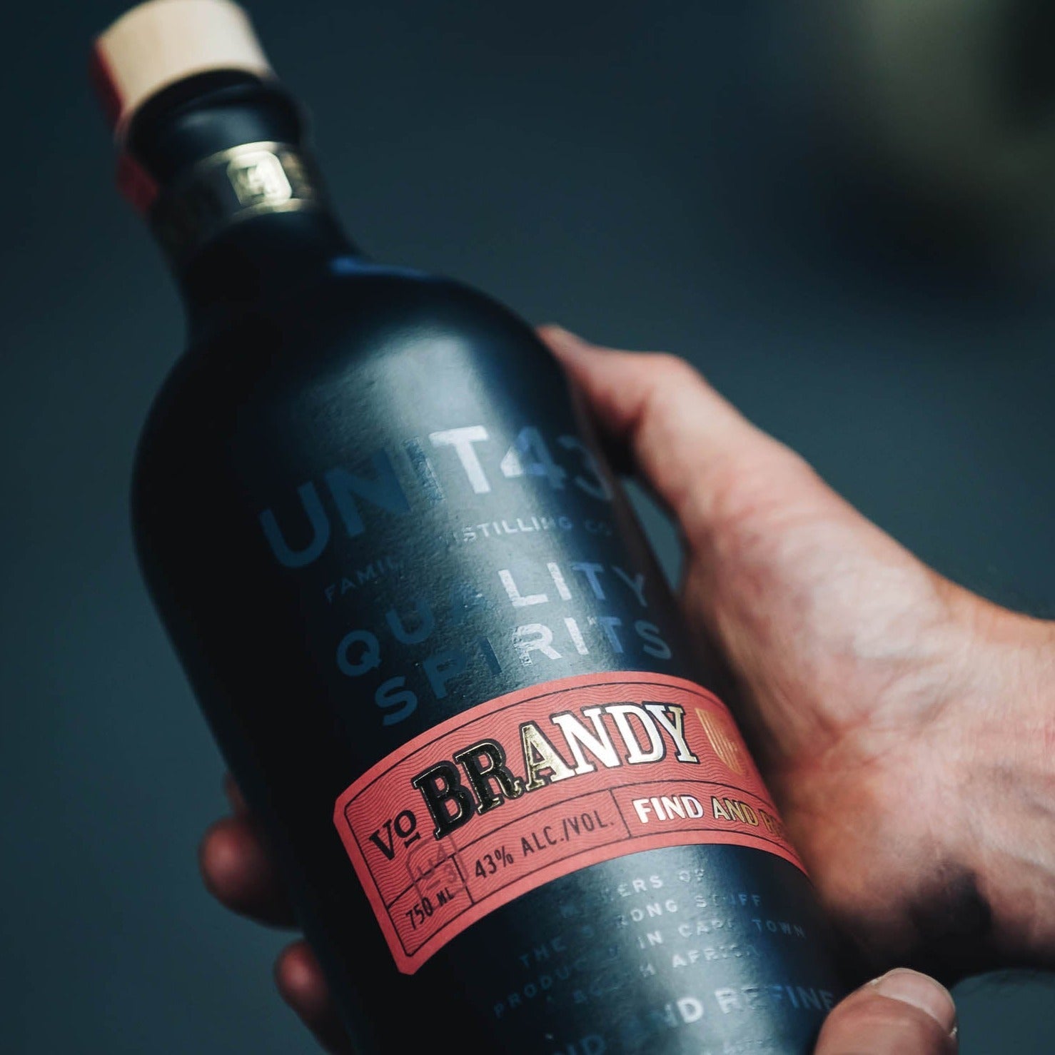 Unit43 Brandy 5 Year Old