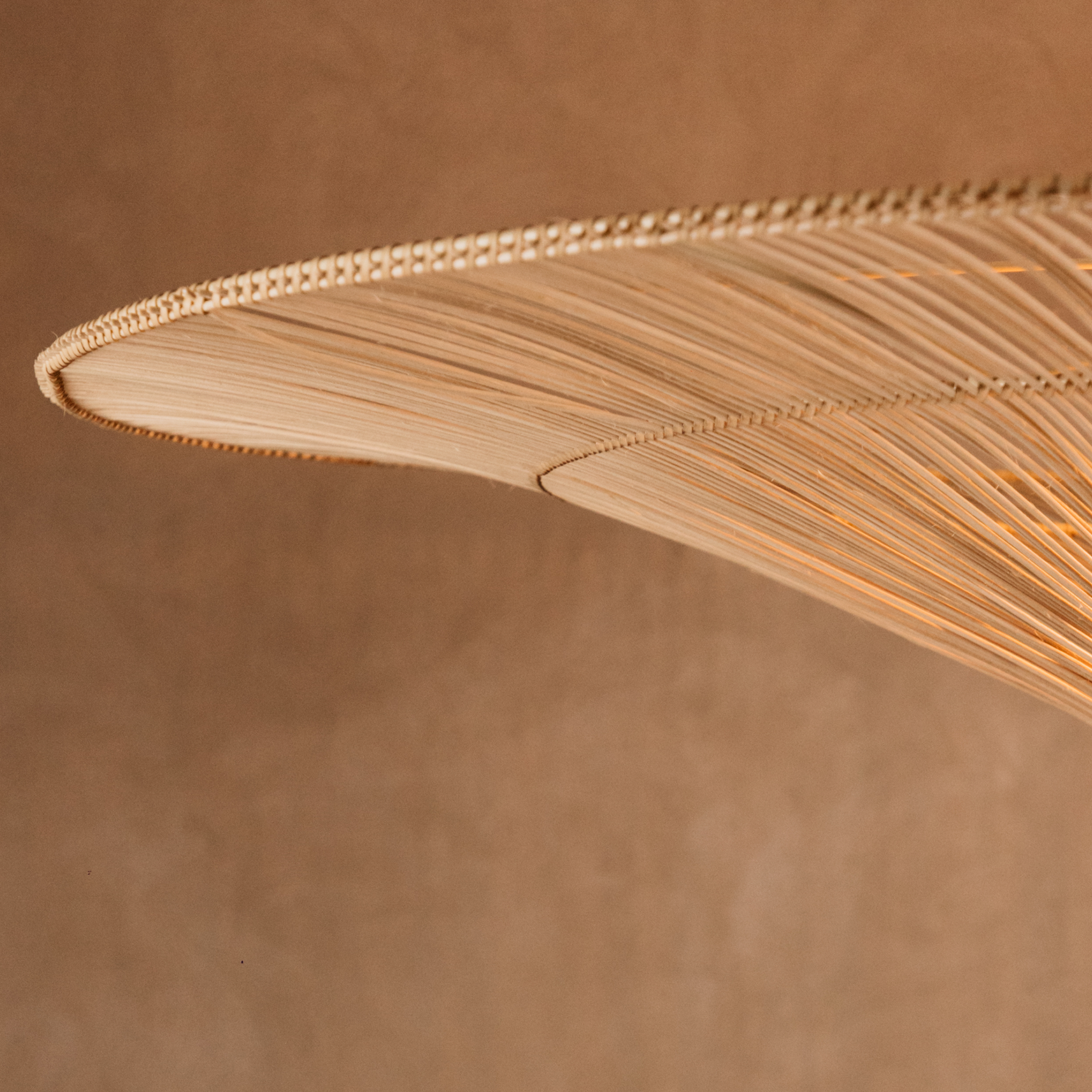 Madagascar Cane Pendant