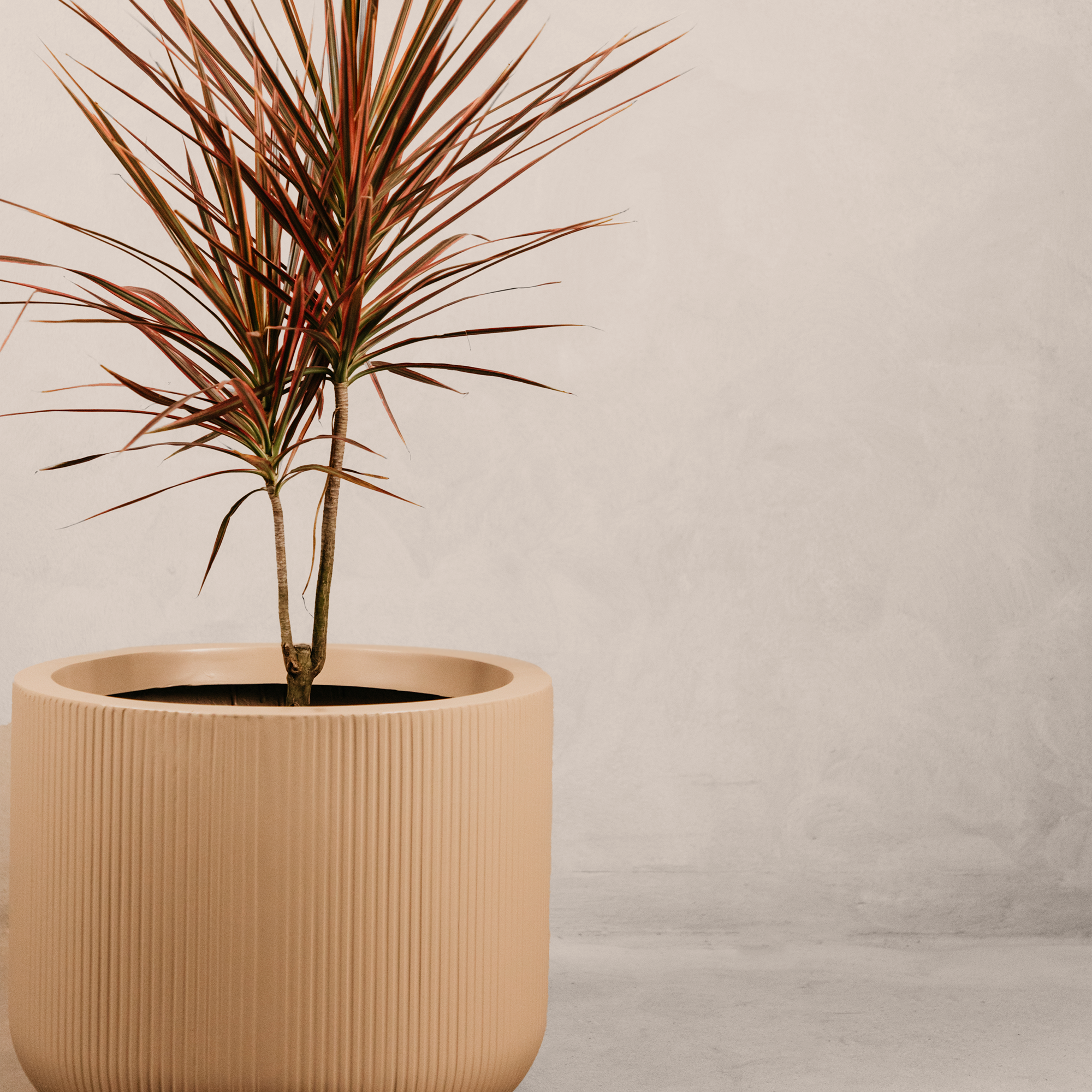 Magwa Planter