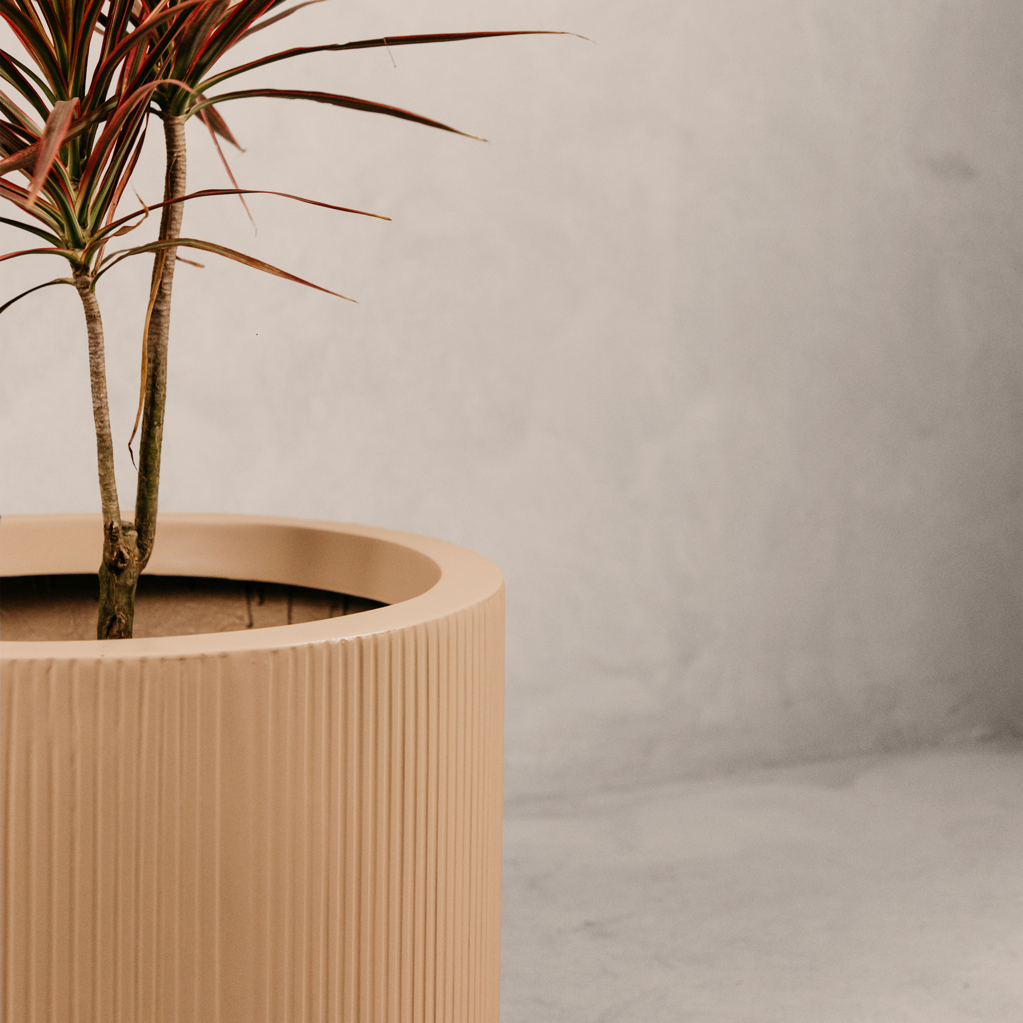 Magwa Planter
