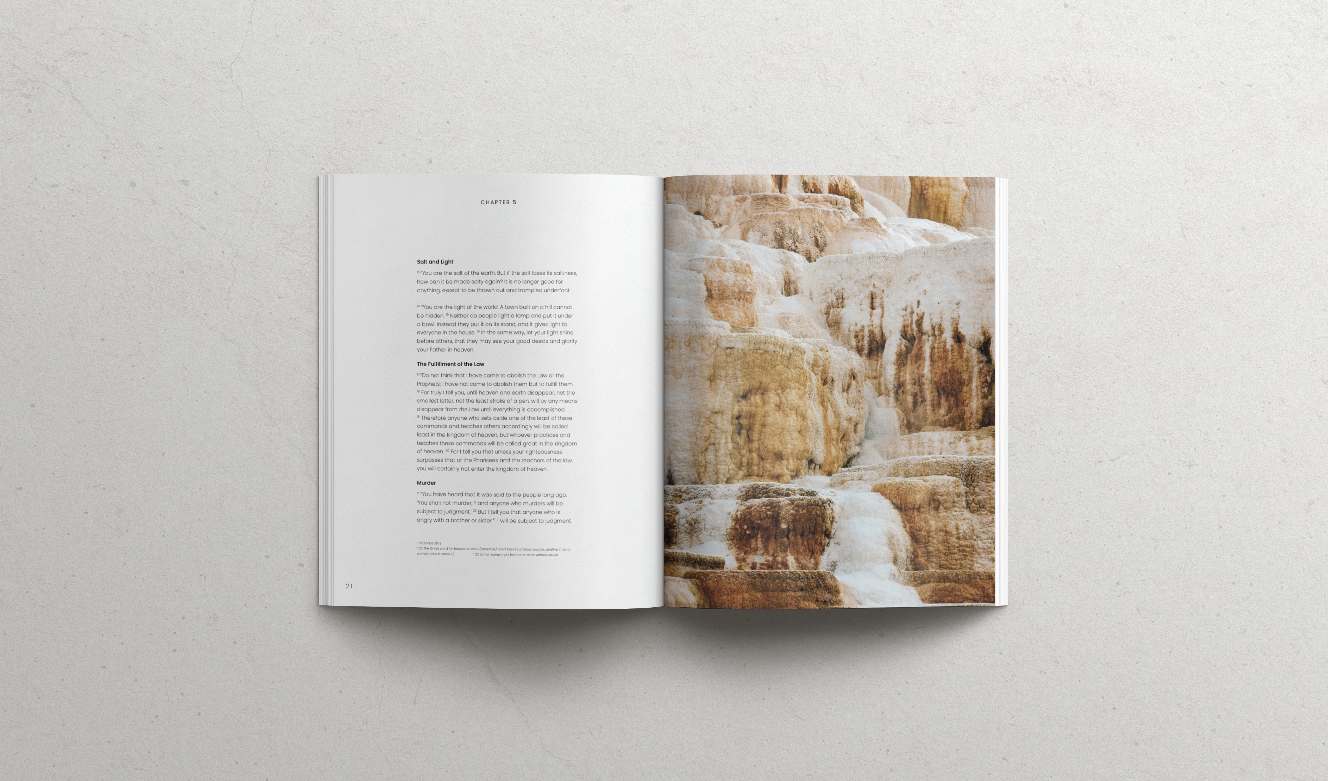 The Book of Matthew - Softcover