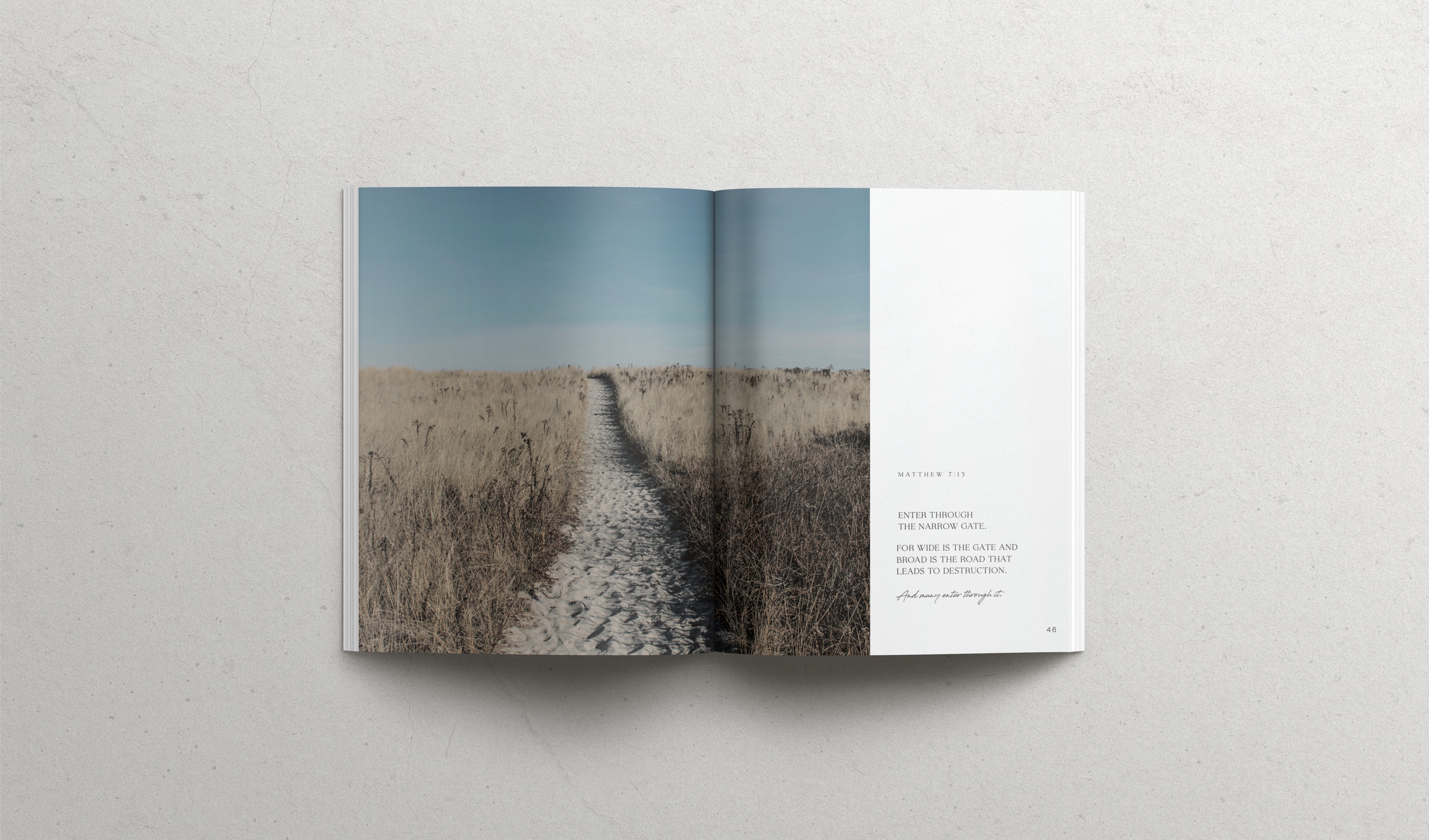 The Book of Matthew - Softcover