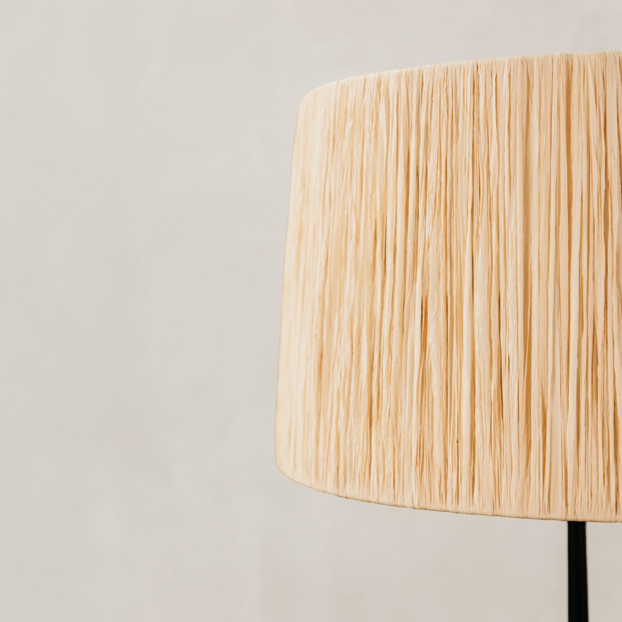 Mkuki Floor Lamp with Raffia Shade – Black