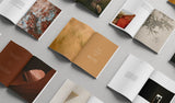 The book of RUTH - Softcover