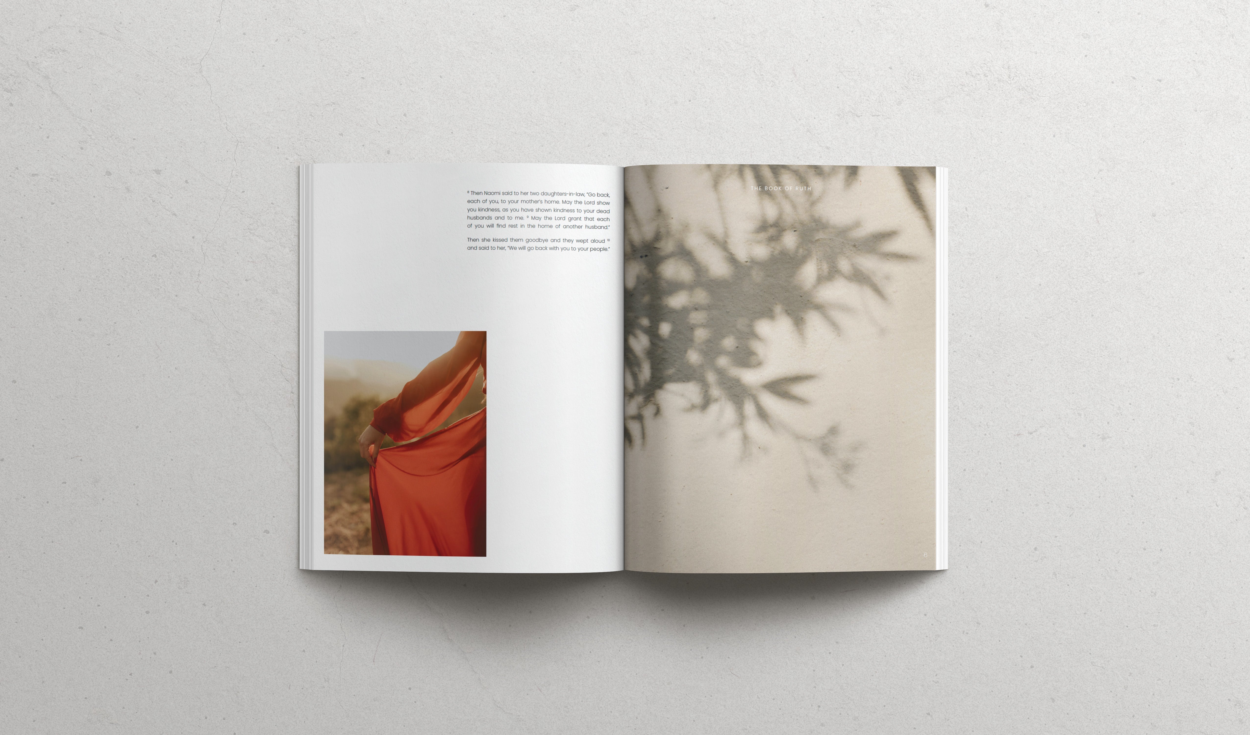 The book of RUTH - Softcover
