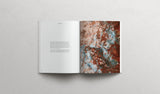 The book of RUTH - Softcover