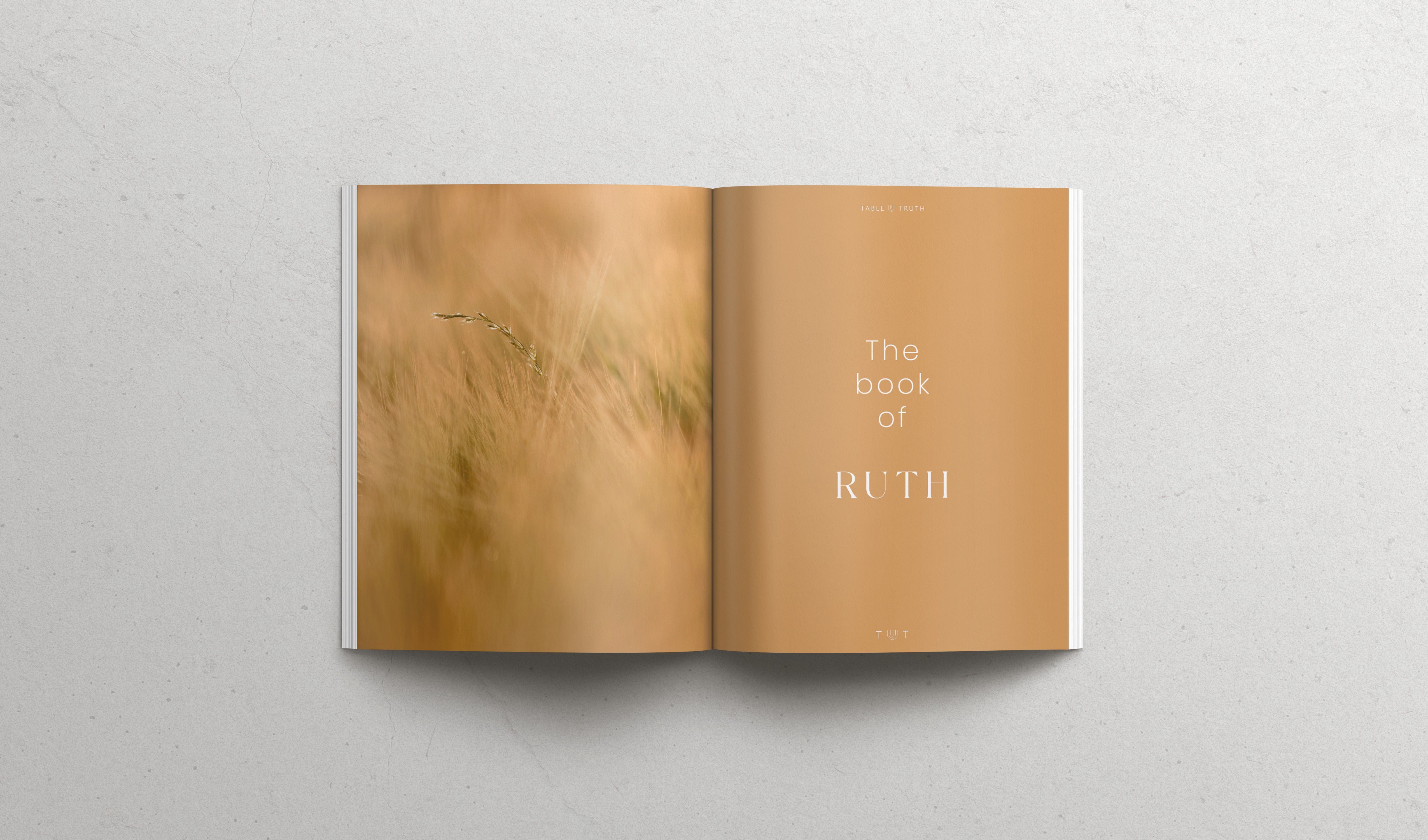 The book of RUTH - Softcover