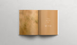 The book of RUTH - Softcover