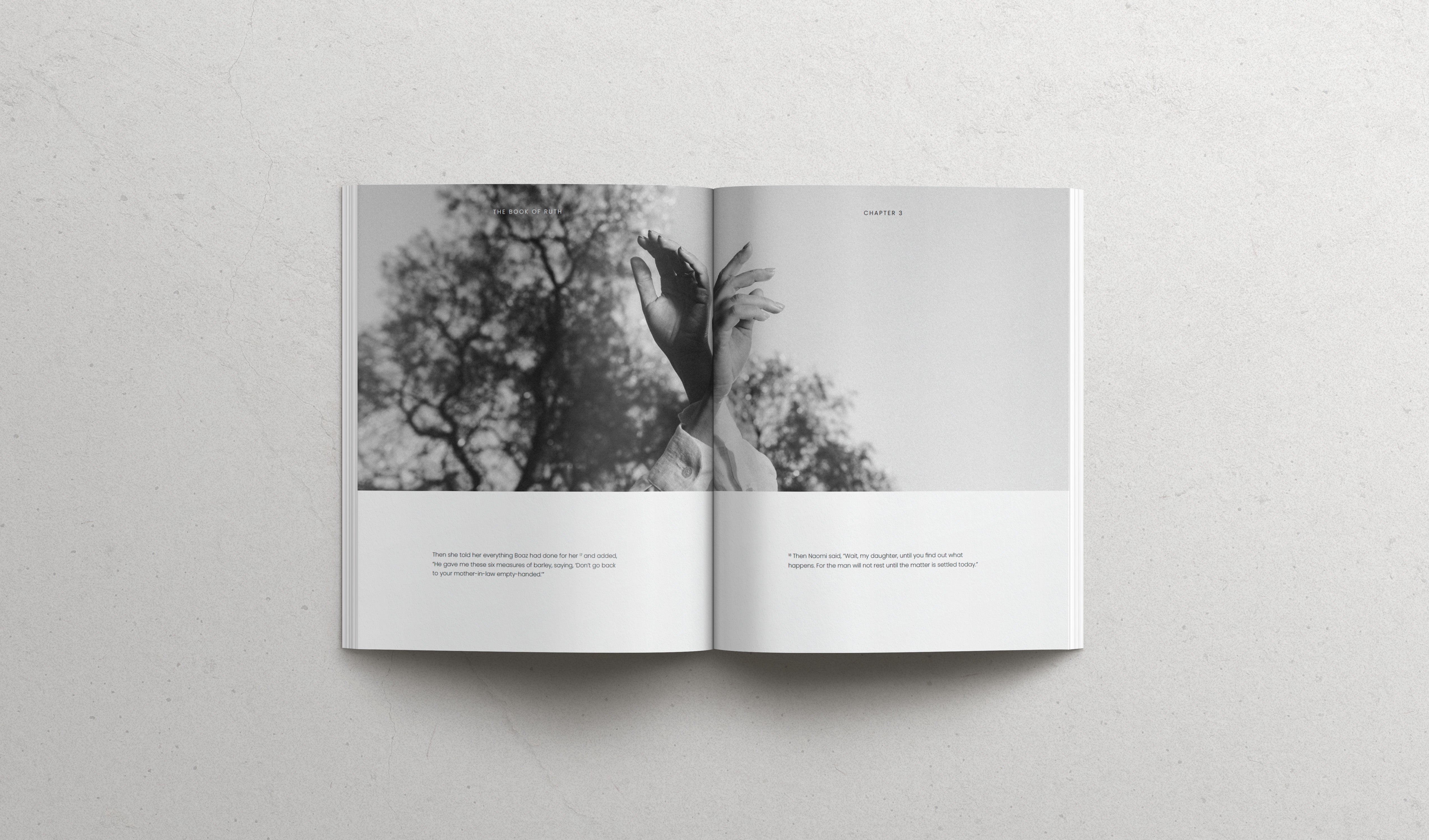 The book of RUTH - Softcover