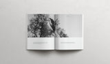 The book of RUTH - Softcover