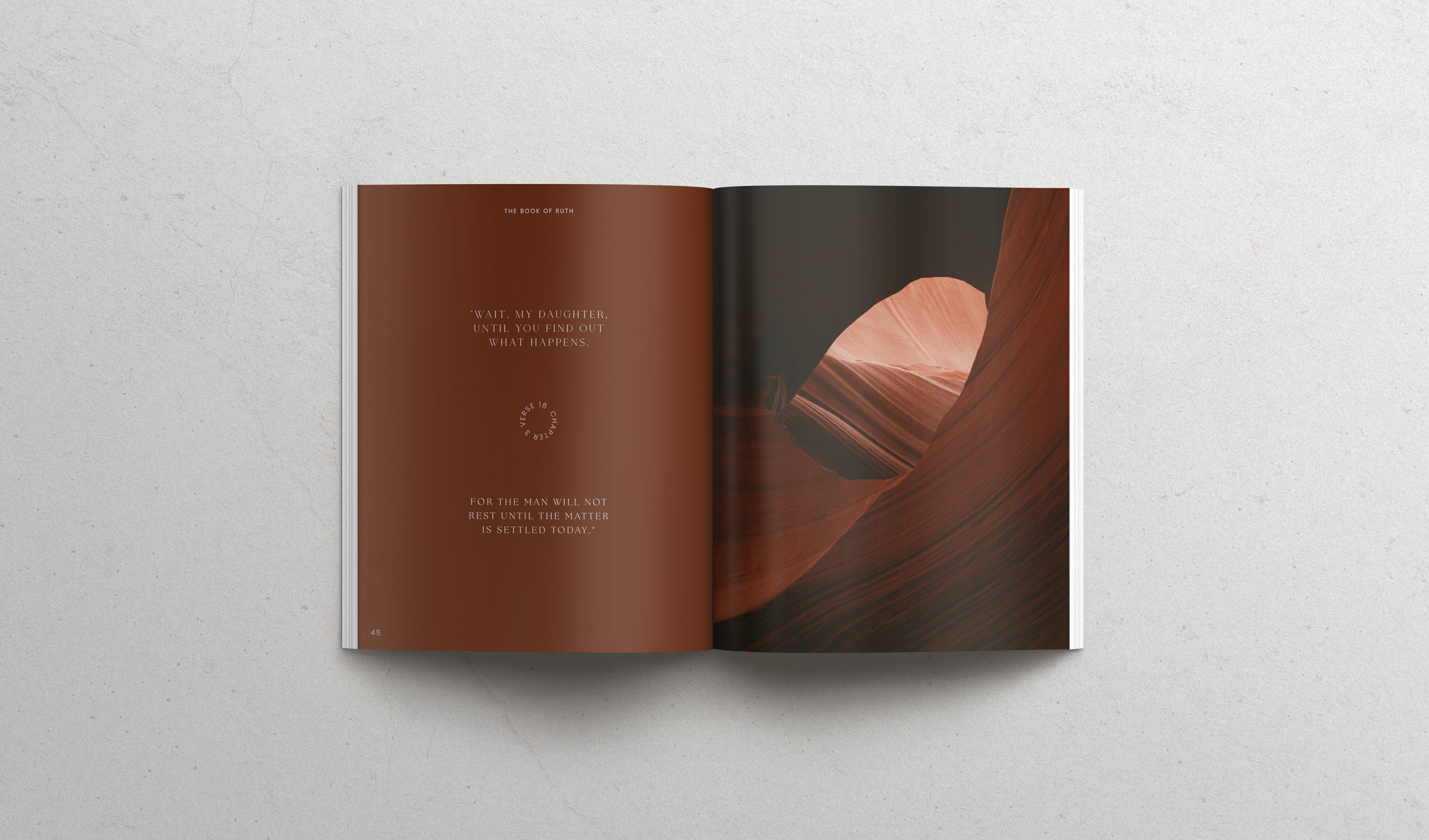 The book of RUTH - Softcover