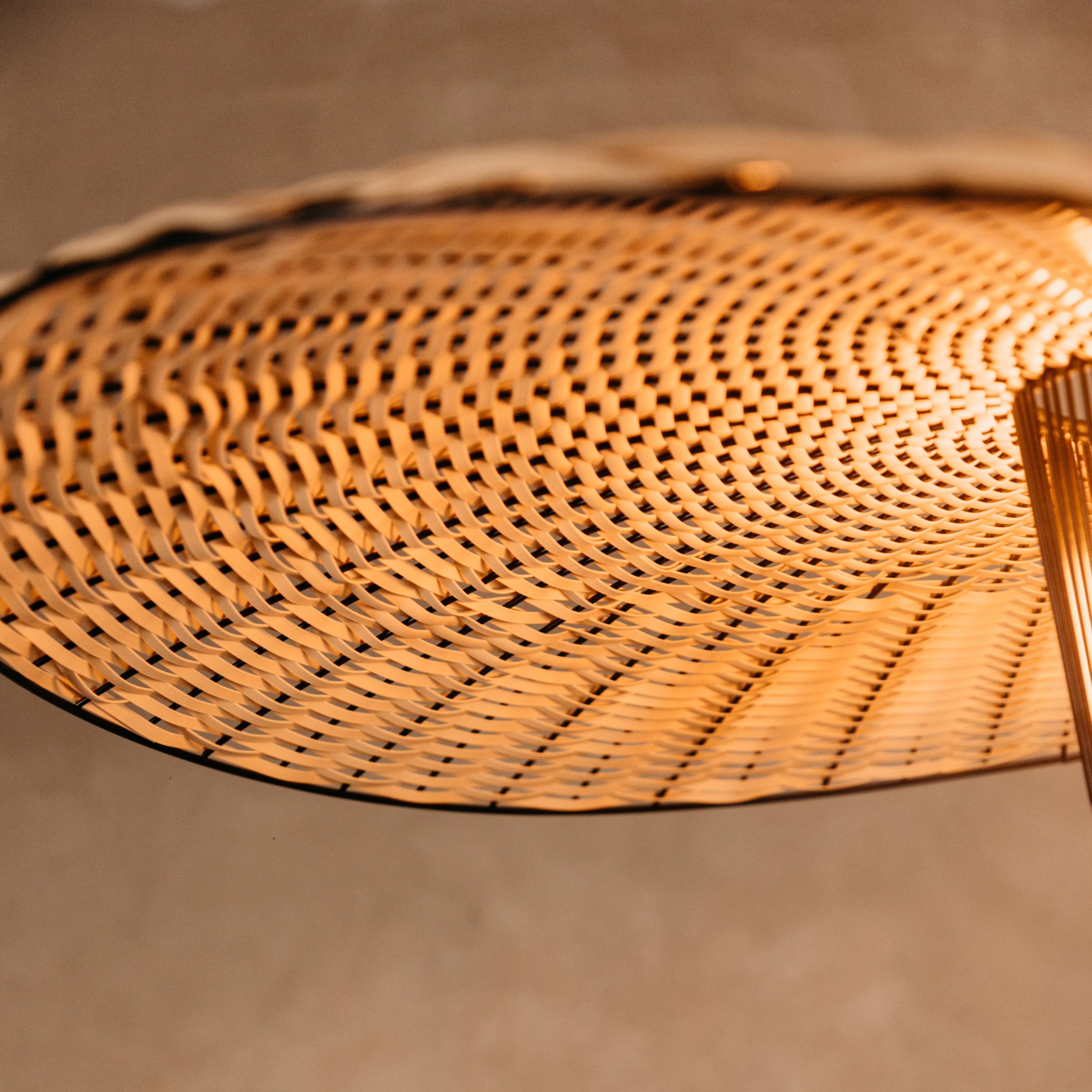 Monarch Woven Pendant