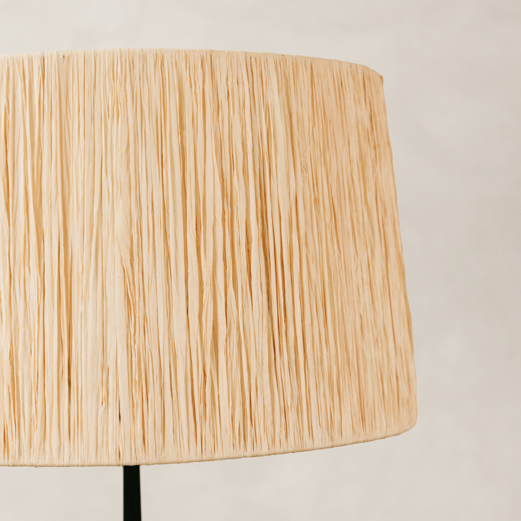 Moraad Floor Lamp with Raffia Shade – Black