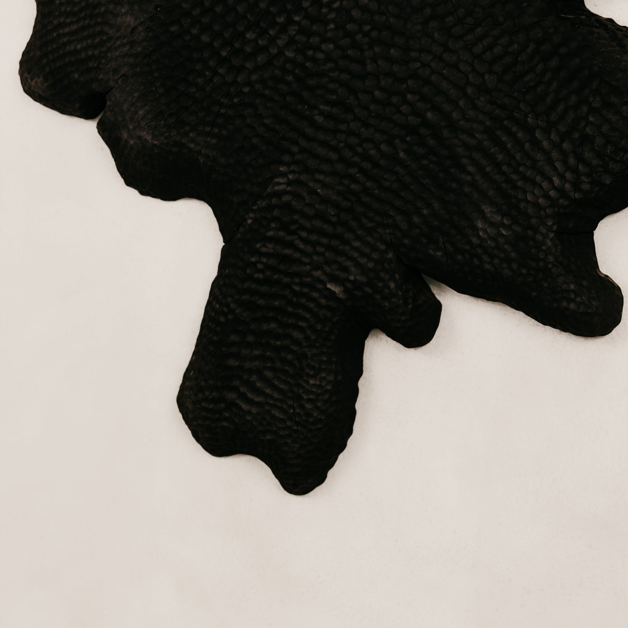 Oribi Wall Art