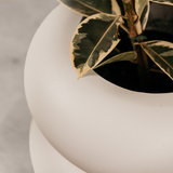 Otter Planter