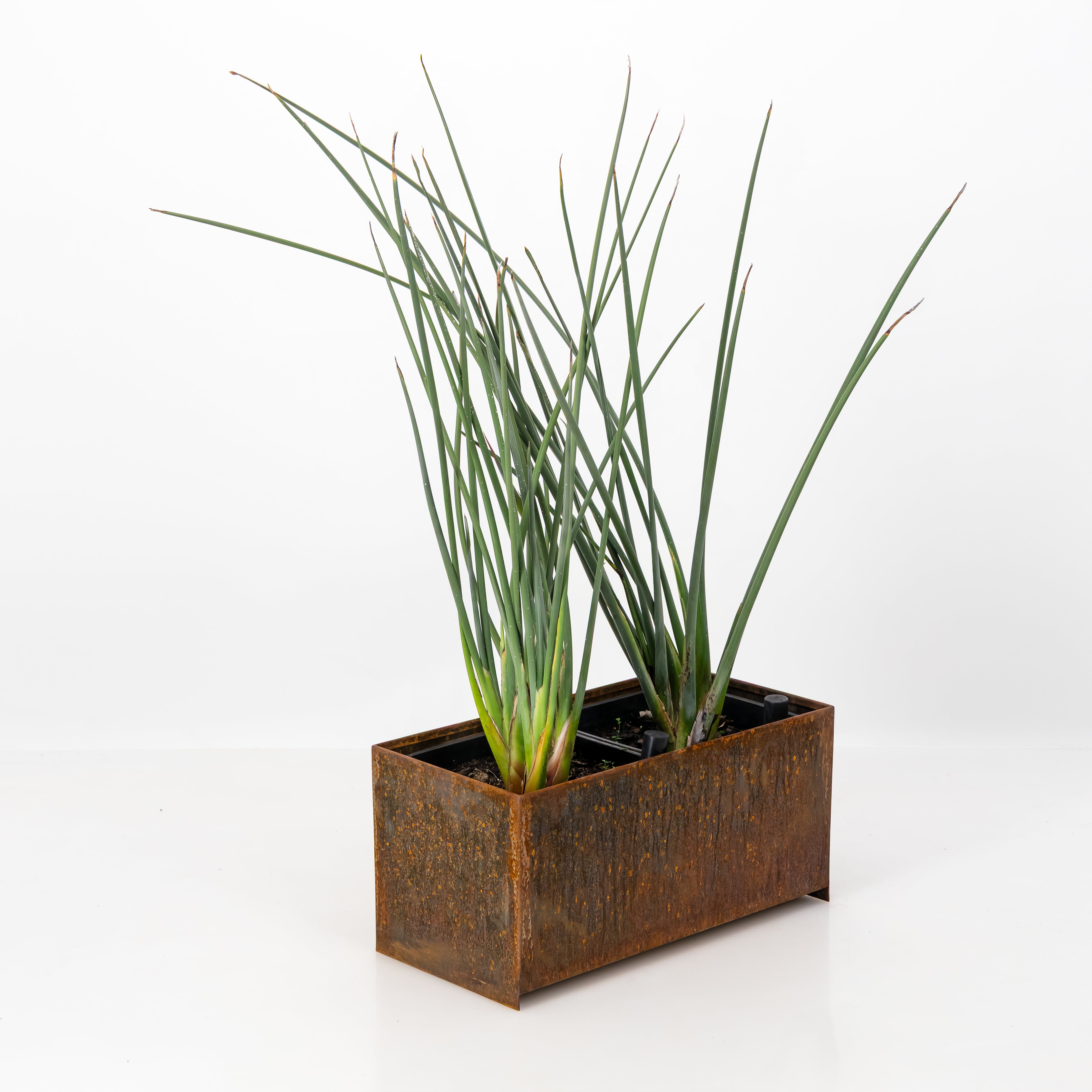 Loft Planter | Corten