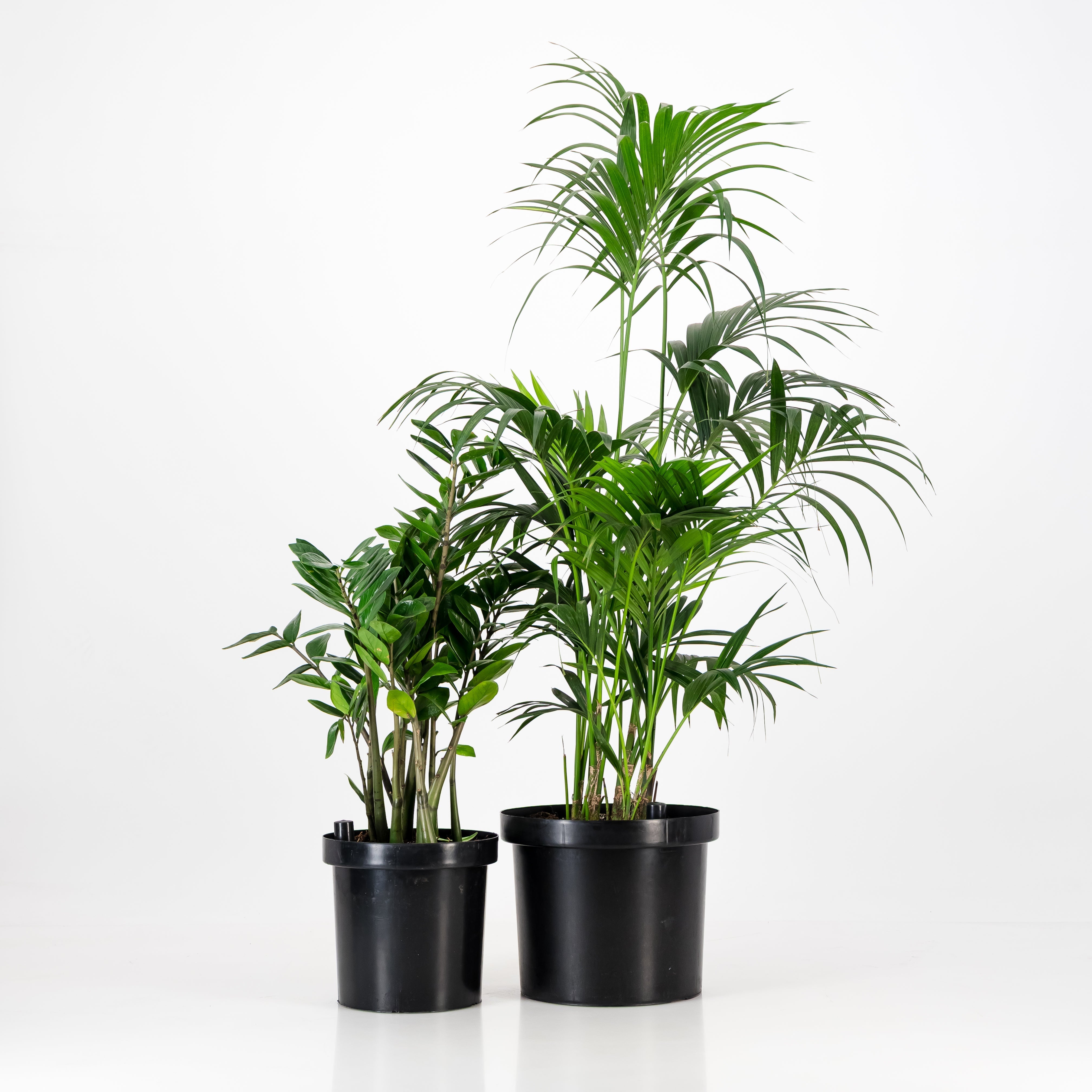 Self-Watering Liners | Round