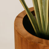 Kutu Planter - Rust