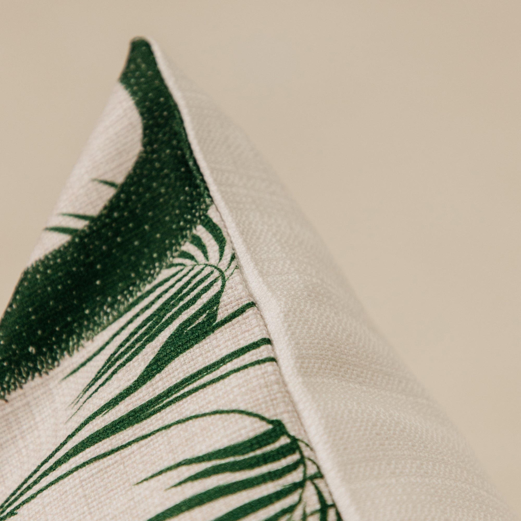 Paradise Palm Scatter