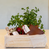 Space to grow gift box
