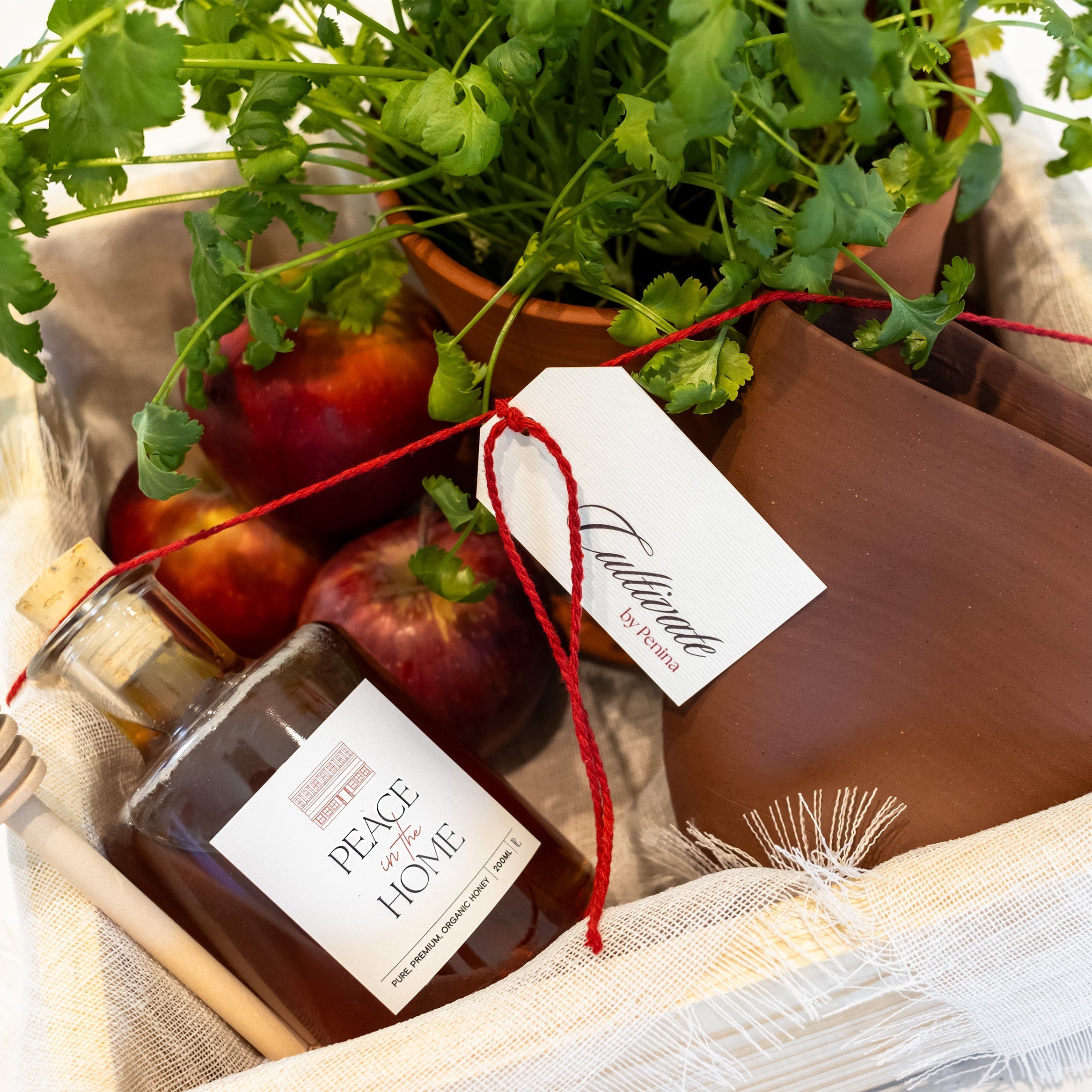 Space to grow gift box
