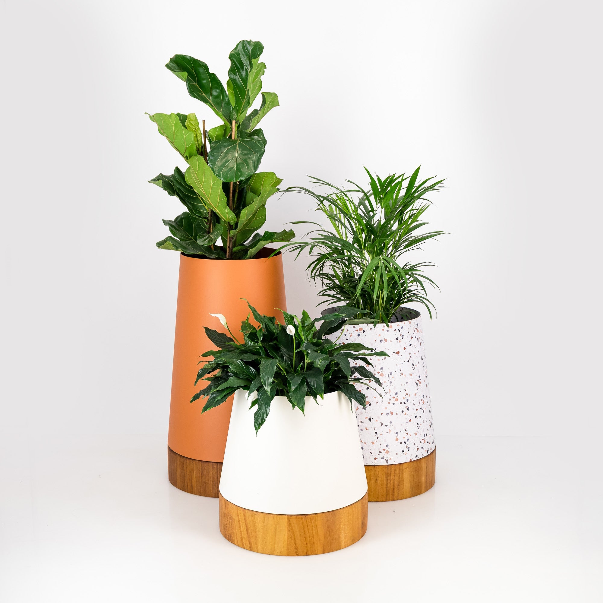 The Conica With Iroko Base | Trio | Outdoor