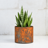 Coten Steel - Round Planters