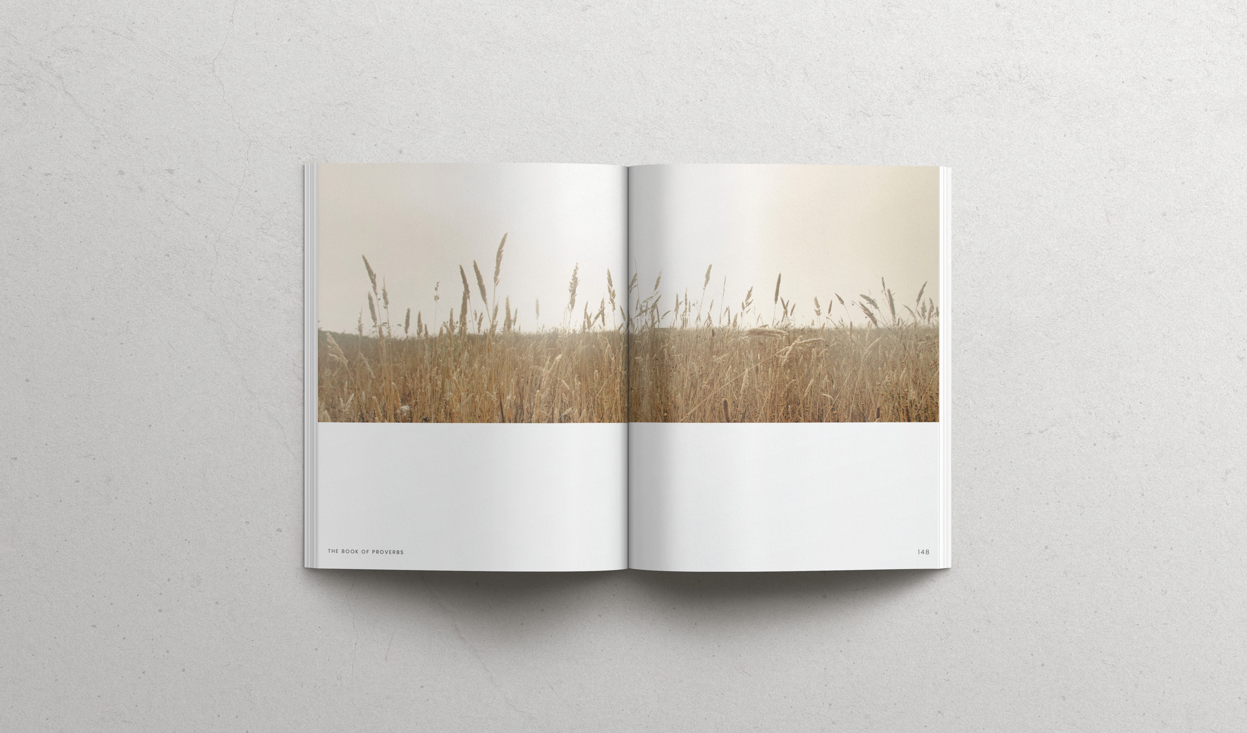 The Book of Proverbs - Hardcover