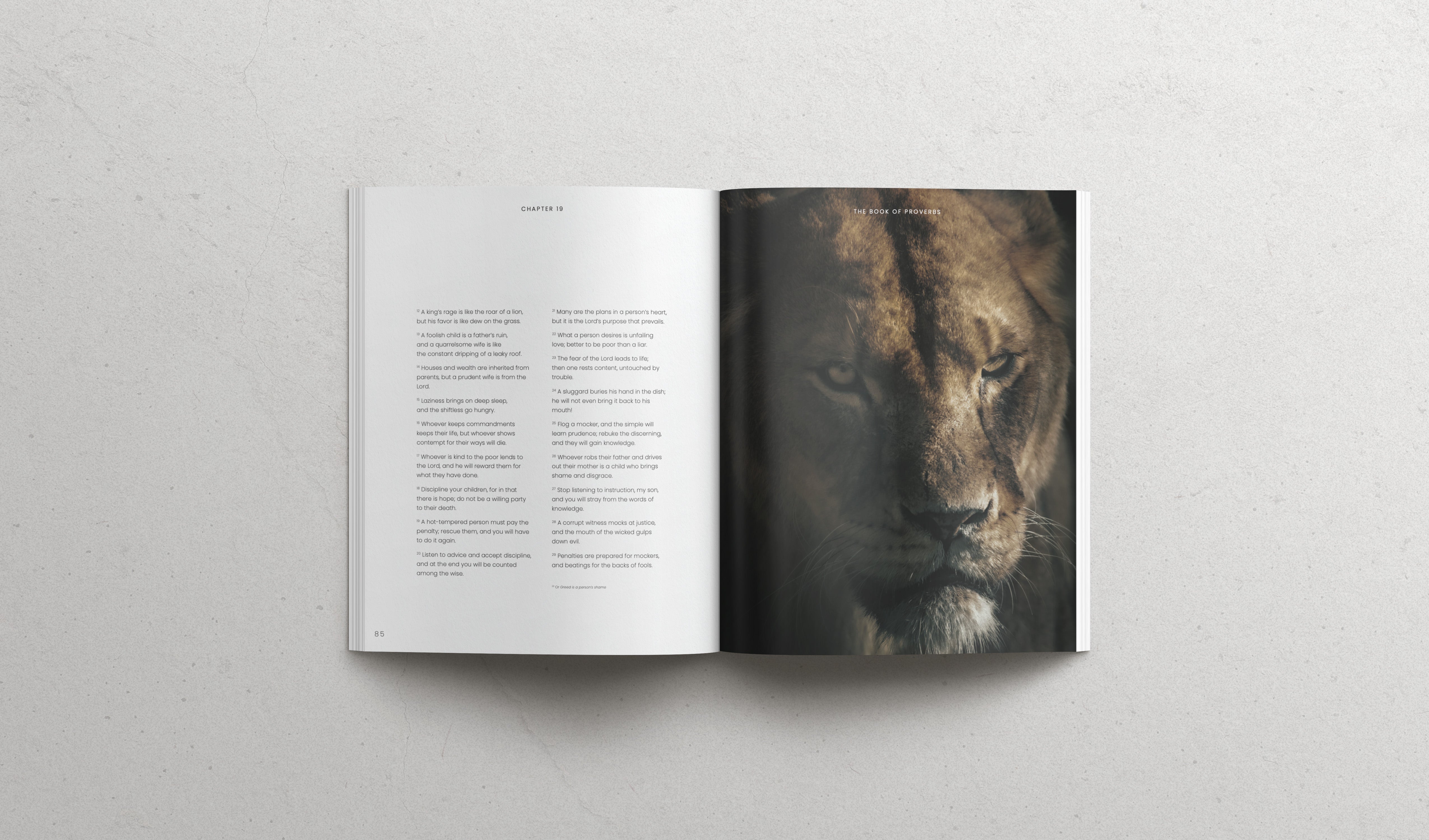 The Book of Proverbs - Hardcover