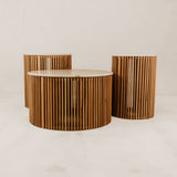 Robben Coffee Table