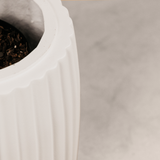 Robberg Planter