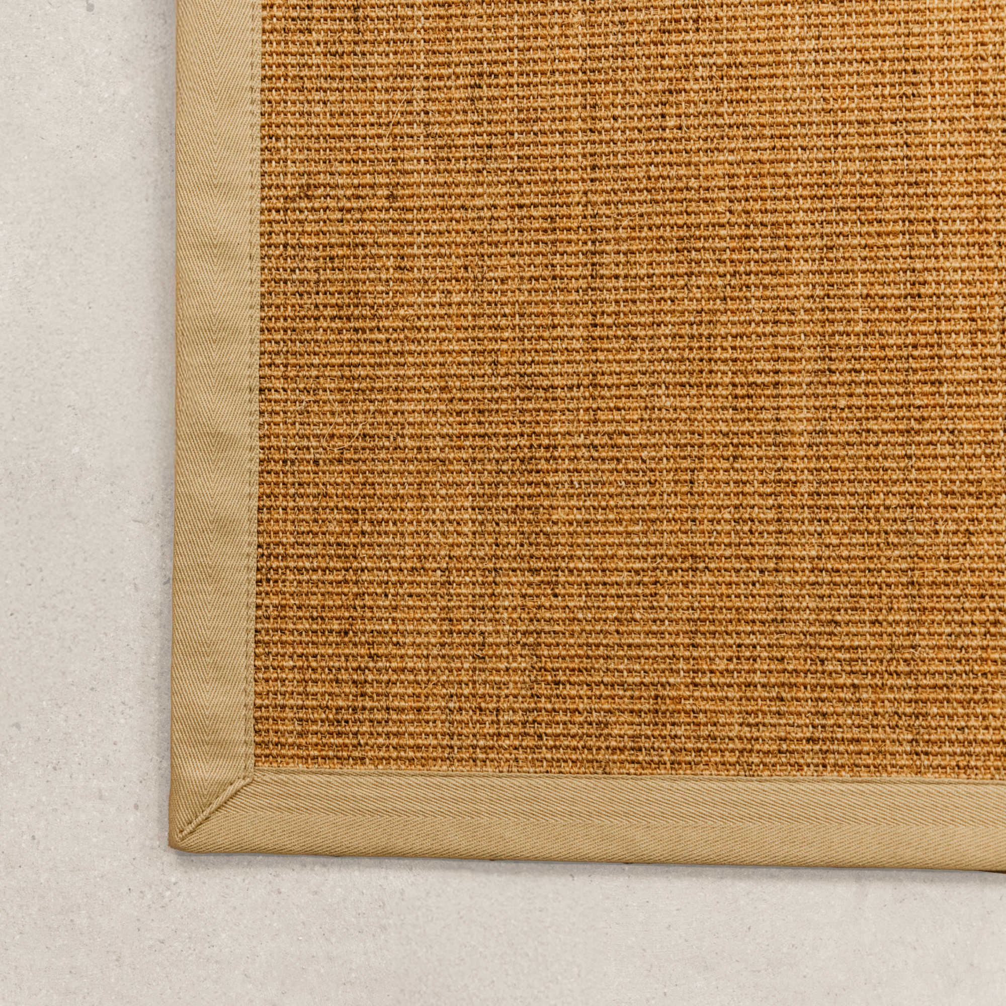 Binga Sisal Rug - Natural Trim 2000x3000