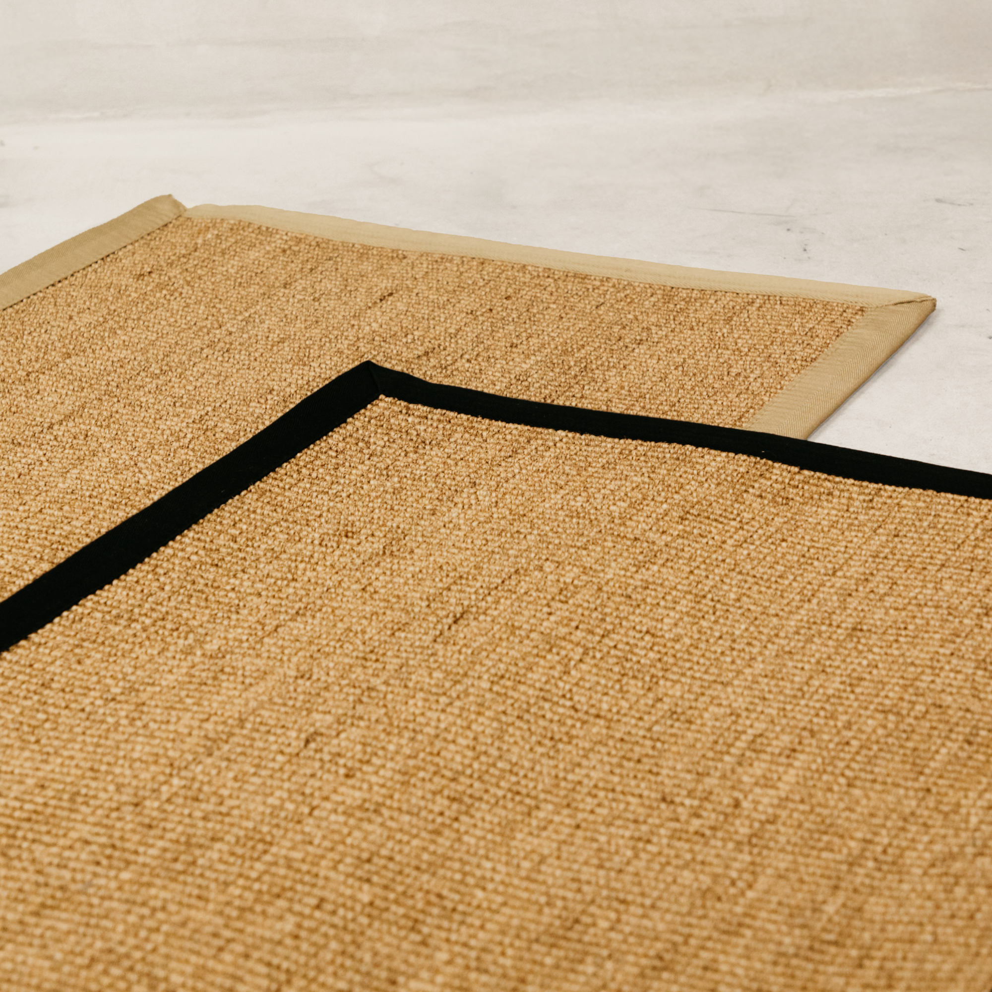 Binga Sisal Rug - Natural Trim 2000x3000
