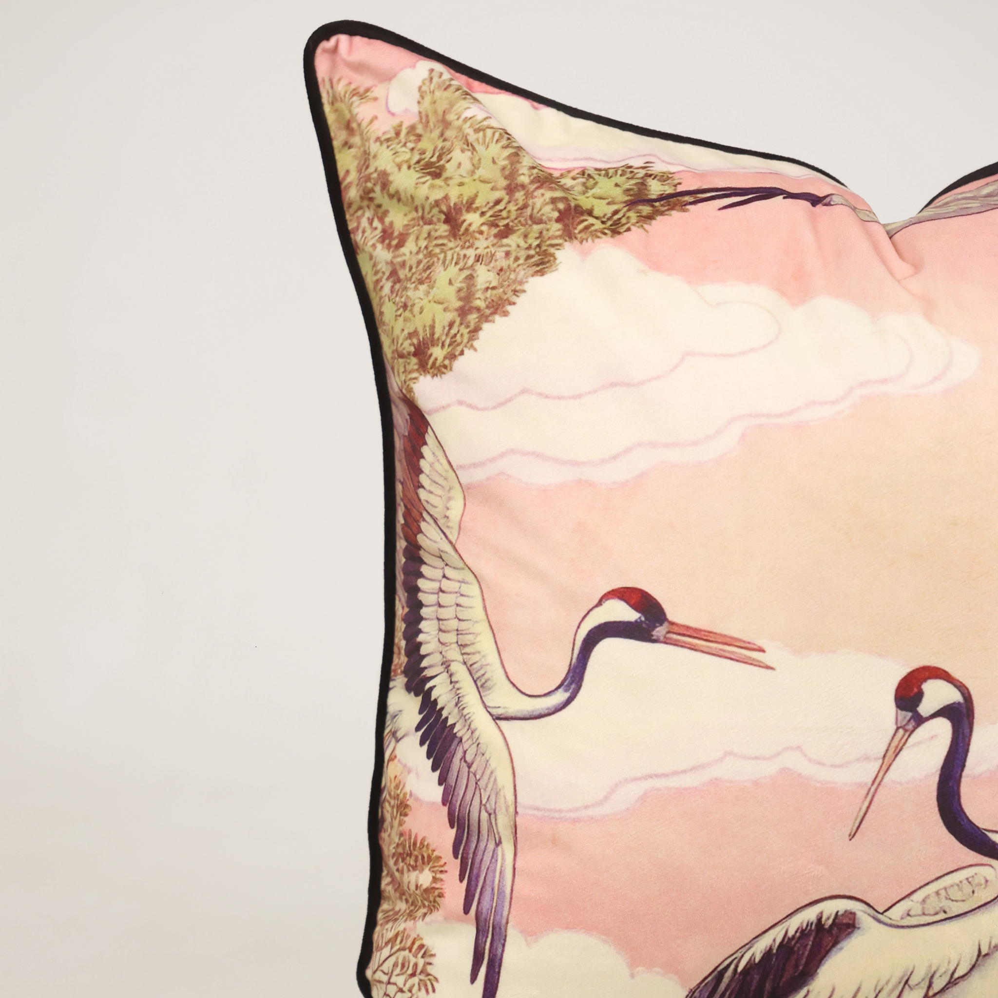 Crane Cotillion Velvet Scatter