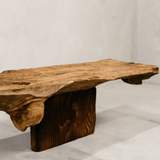 Sankofa Bench