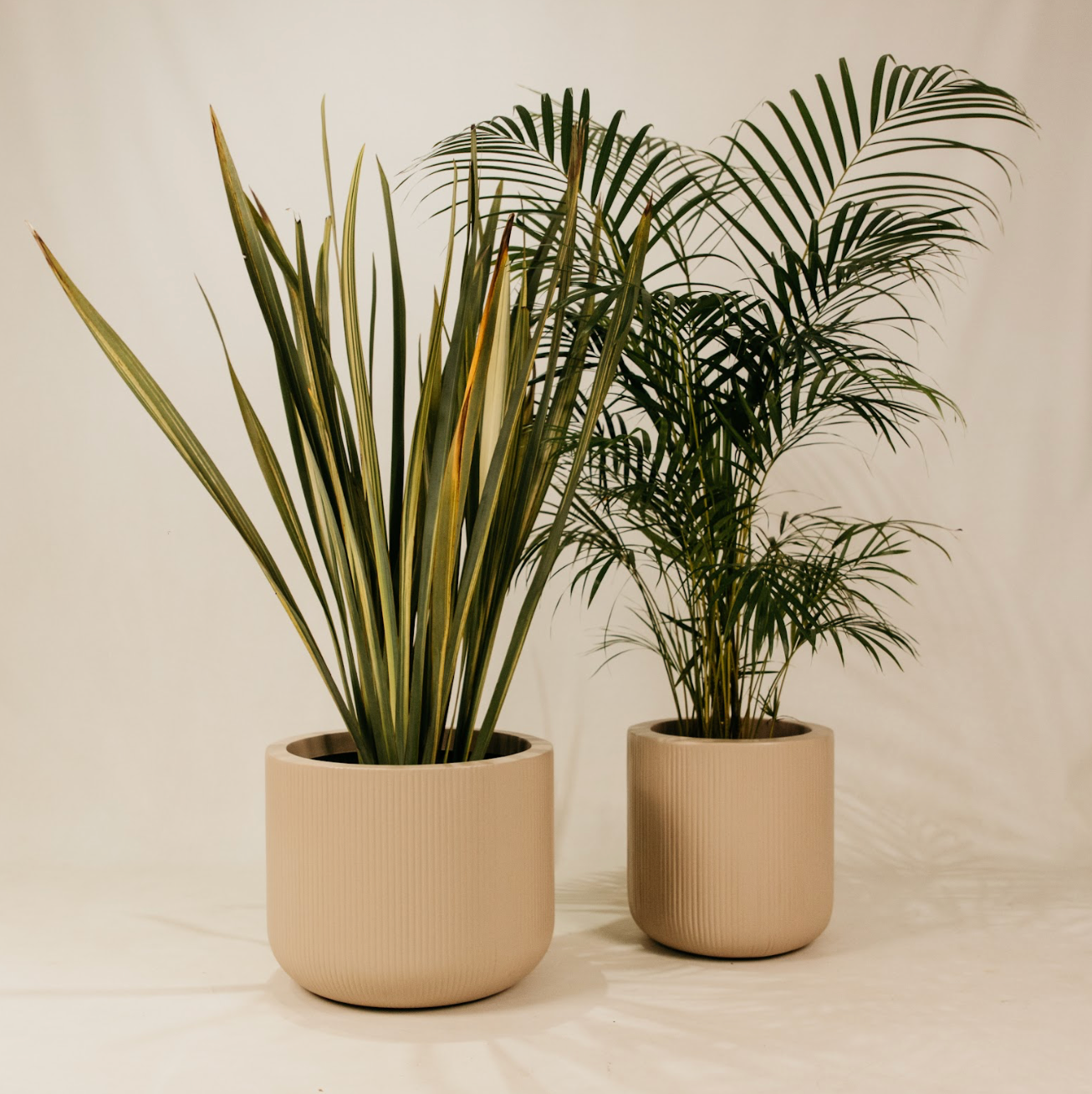Magwa Planter