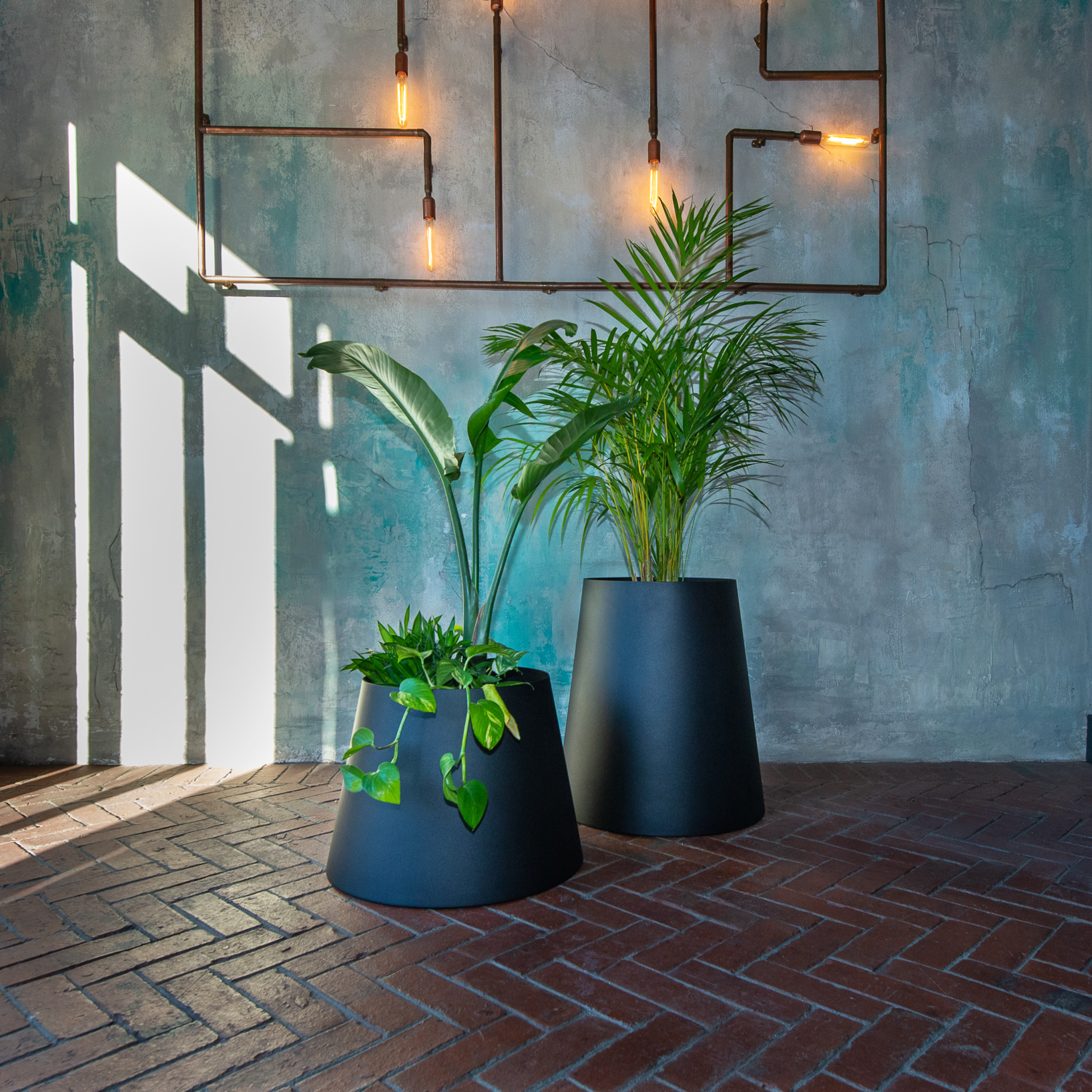 The Conica | Basic