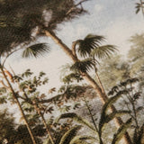 Serene Scene Linear Scatter
