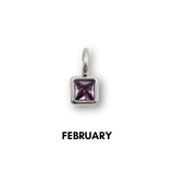 Birthstone Charms Silver