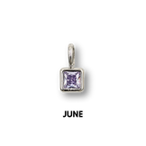 Birthstone Charms Silver