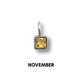 Birthstone Charms Silver