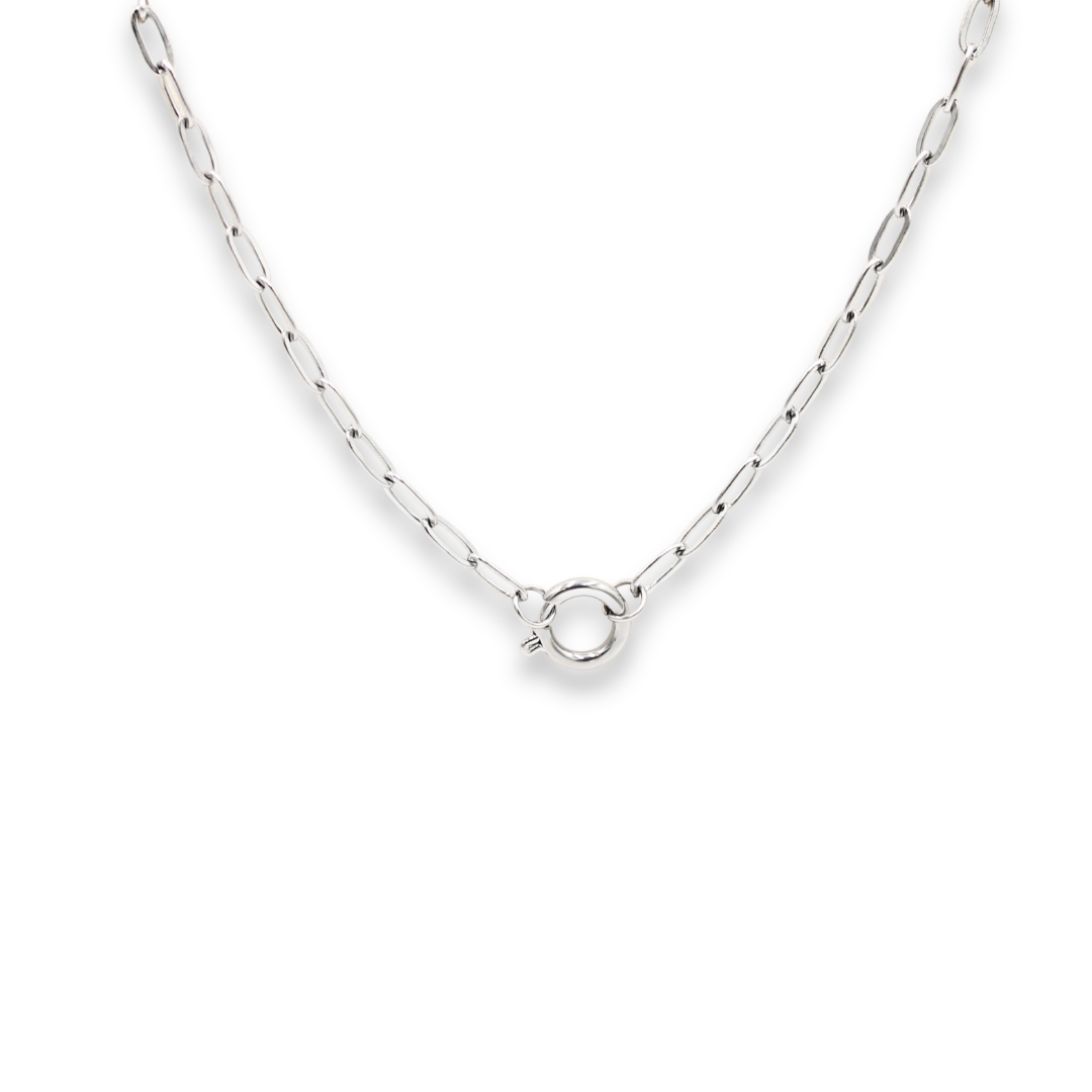 Clasp Charm Necklace Silver