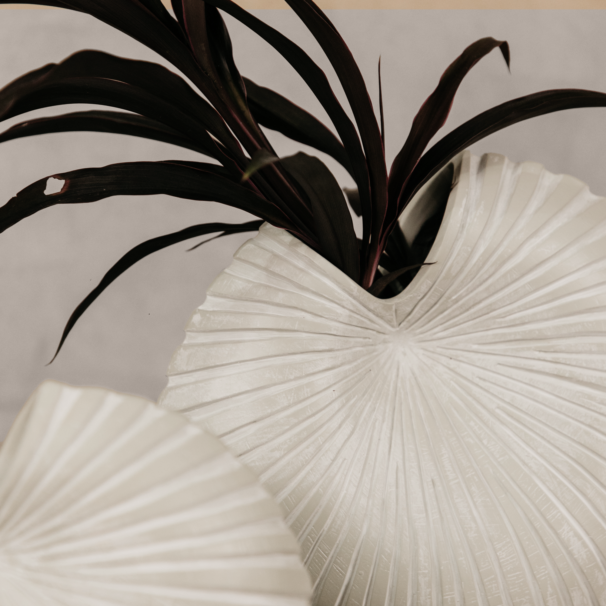Spirula Vase Set (Set of 3)