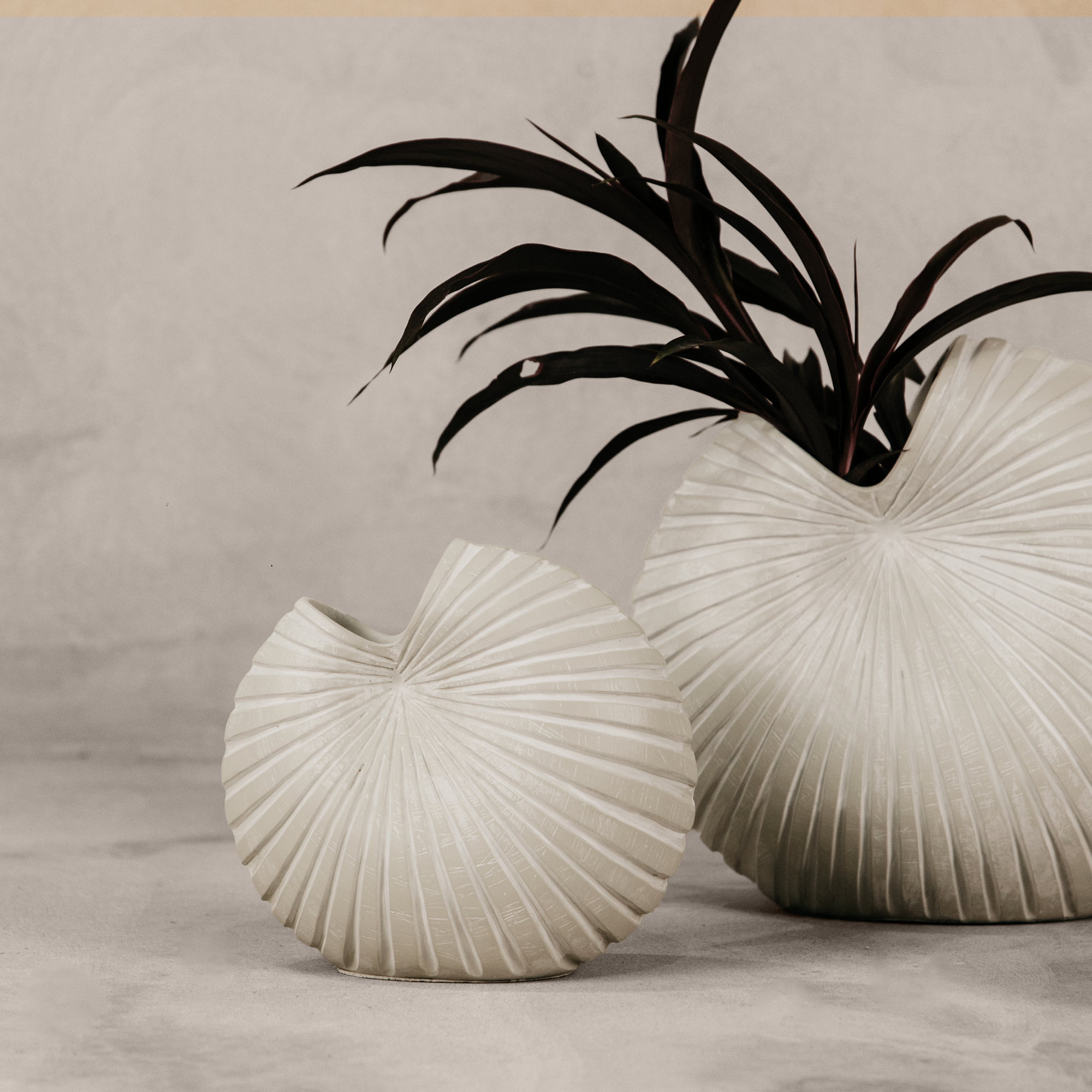 Spirula Vase Set (Set of 3)